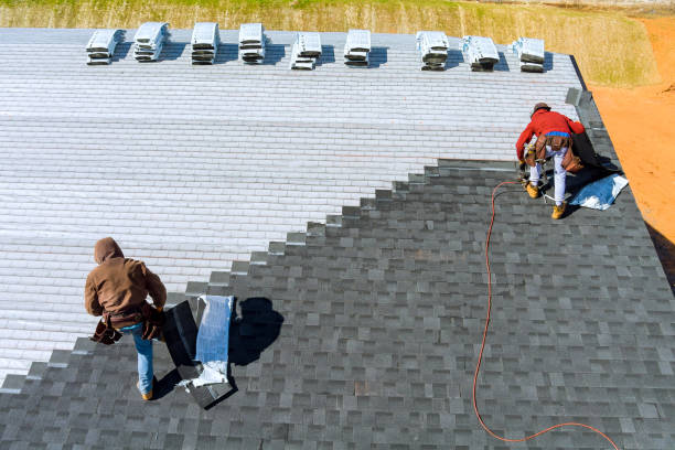 Best Metal Roofing Contractor  in Buchanan, MI