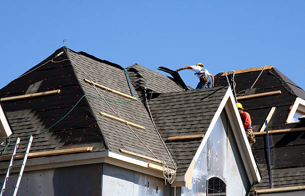 Best Storm Damage Roof Repair  in Buchanan, MI