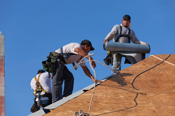 Best Roof Gutter Cleaning  in Buchanan, MI