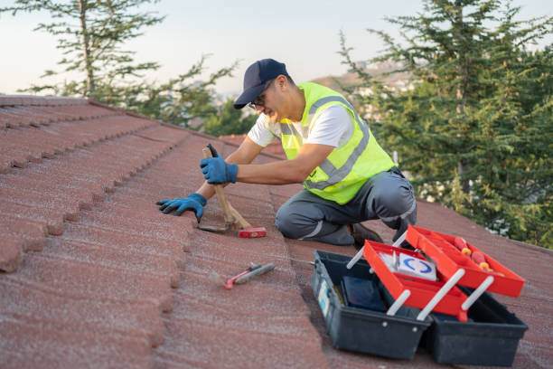 Best Commercial Roofing Services  in Buchanan, MI
