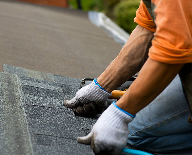 Roof Gutter Cleaning in Buchanan, MI